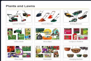 Lawn Maintenance